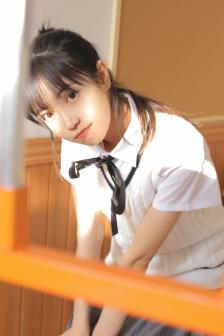 贵族大盗